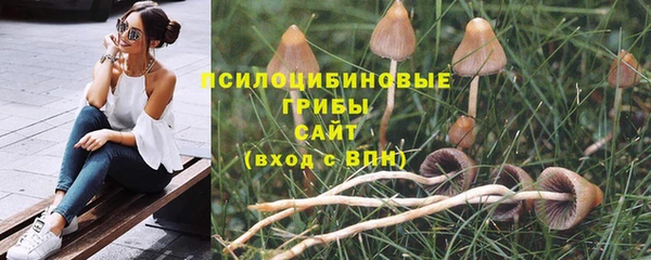 стафф Алексин