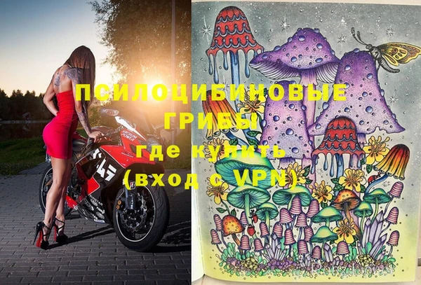 apvp Абинск