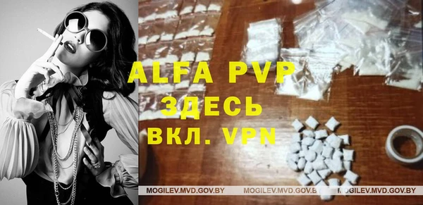 стафф Алексин